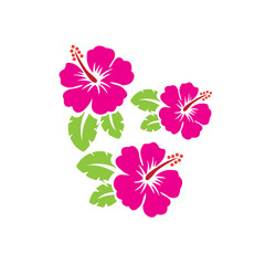 vector flower logo design and ornament