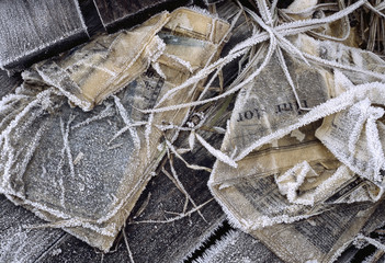 Frozen newspaper