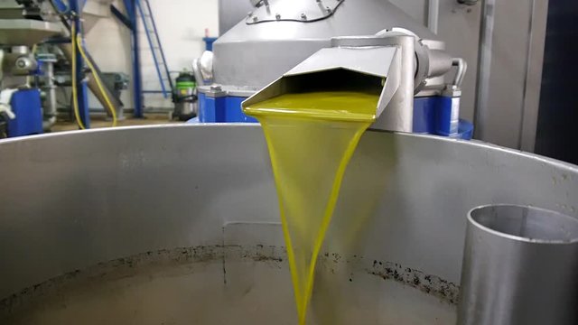 Pouring unfiltered organic fresh olive oil. Olive oil mill.