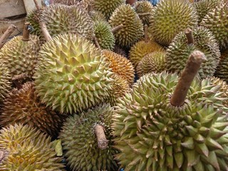 Naklejka na ściany i meble durian in the market