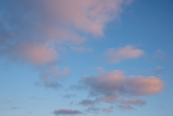 Pink vanilla clouds on a blue sunset sky.