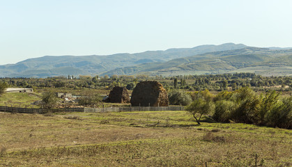 Fototapeta na wymiar Haystacks stand in a meadow near a farm near the road leading from Kutaisi to Tbilisi in Imereti in Georgia