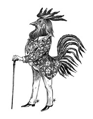 A rooster man with a cane and boots in a cowboy style. Hand drawn fashionable cockerel. Engraved old monochrome sketch. © artbalitskiy