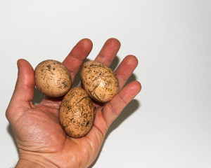 dirty chicken eggs in a man's hand on a white background