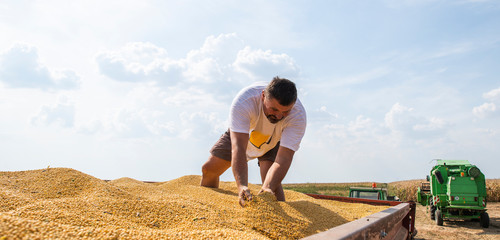 Farmer after soybean harvest