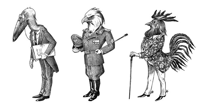 Bird man, eagle and marabou head in military uniform. Dressed Rooster or Cock cowboy. Hand drawn fashionable cockerel. Engraved old monochrome sketch. Mythical fashion creature in hipster style.