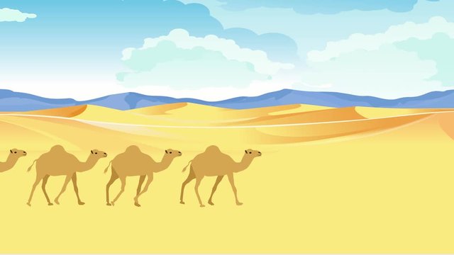 Camels caravan walking in the desert sand dunes, 2d animation
