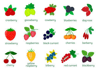 Set of ripe berries collection, mega icon of fifteen elements on a white background with text. For your design cards, scrapbooking, crafting. Flat design, vector illustration