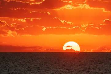 Sunset or sunrise background with orange sky and sun disk raising over sea horizon