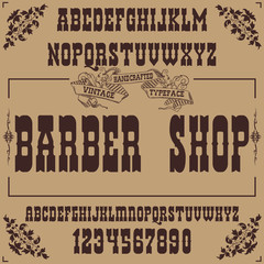  Vector letters and numbers. Font, Typeface, Script, Old style - vintage script font. Vector typeface for labels and any type designs Hand drawn typeface. Font illustration