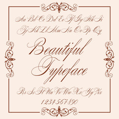  Vector letters and numbers. Font, Typeface, Script, Old style - vintage script font. Vector typeface for labels and any type designs Hand drawn typeface. Font illustration