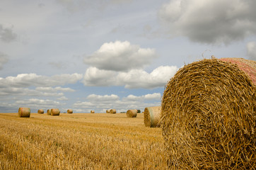 Straw Bales 2