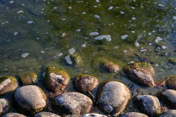 stones in water at lake pond, close up and full frame