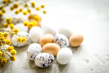 Naklejka na ściany i meble Eggs and flower for easter on white background top veiw mock-up