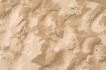 Close up detail sand texture dry and wet for background - 317030430