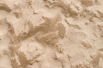 Close up detail sand texture dry and wet for background - 317030450