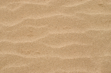 Close up detail sand texture for background - 317030470