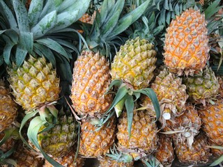 pineapple in the market