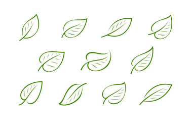 Fototapeta na wymiar Natural green leaf logo. Nature, ecology icon or symbol vector