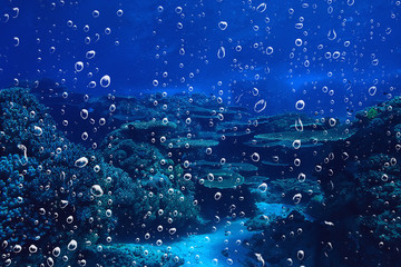 Naklejka na ściany i meble background underwater air bubbles reef / abstract sea background, diving, nature, ocean