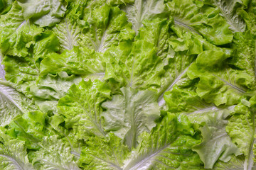 Salad lettuce food background. Top view. Horizontal orientation, 