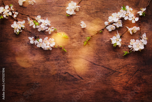 Spring blooming branches on wooden background. White Cherry blossoms top view, copy space