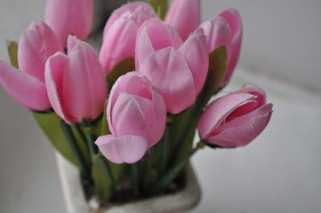 Obraz premium bouquet of tulips on white background. card with flowers
