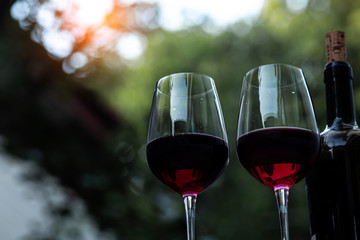 Cheers clinking of friends in party	