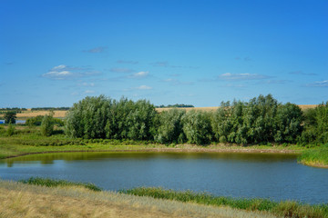 Fototapeta na wymiar A small rural pond against a blue sky
