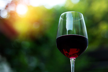 Glasses Of Red Wine On Served Outdoor
