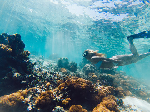 Female Tourist Love Extreme Sport Practicing Scuba Diving During Holiday On Bahamas, Woman In Swim Flippers Exploring Ocean Depth Enjoying Indonesian Adventure For Discovering Aquatic Nature Life