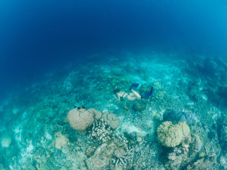 Woman scuba diver in flippers snorkeling down for recreation during aqua adventure in underwater world with coral reefs, female discovering natural environment of Thailand enjoying active trip