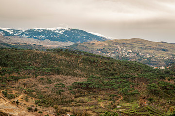 The mountains of Lebanon were once shaded by thick cedar forests and tree is the symbol of country. Beautiful landscape of mountainous town in winter, Eco tourism, Chouf district  with large vistas