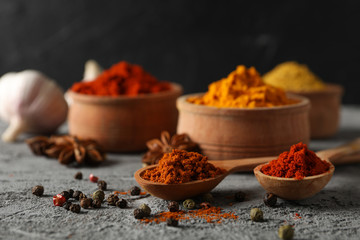 Bowls with spices and ingredients on grey background, close up