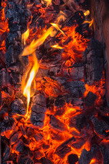 burning firewood closeup