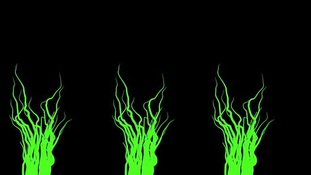 Branching plant roots on black background. Animation. Abstract animation of growing three green beams on black background