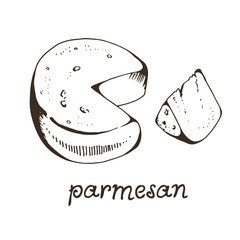 Cheese parmesan hand drawn vector illustration, isolated on white background with hand drawn text
