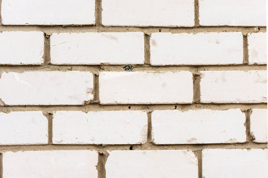 Fototapeta Brickwork of gray and red bricks.