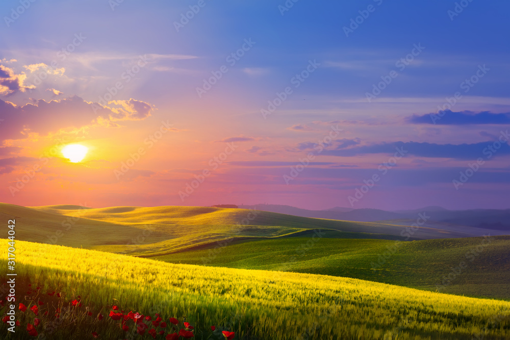 Wall mural beautiful nature countryside landscape; spring flowering field over sunrise sky