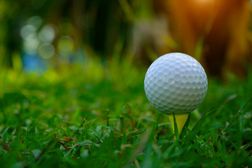 Golf ball on tee in beautiful golf course