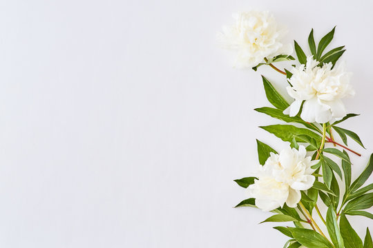 Flat lay pattern with white peonies on a white background