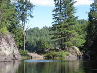 lake in the forest