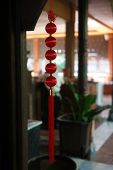 chinese lunar new year decoration