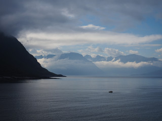 Norwegiuan Fjord Fisher