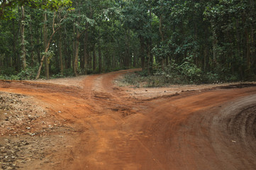 beautiful three road division in forest of Burdwan,India