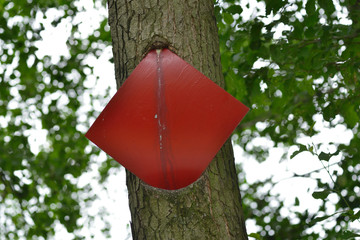 Eingewachsenes Verbotsschild