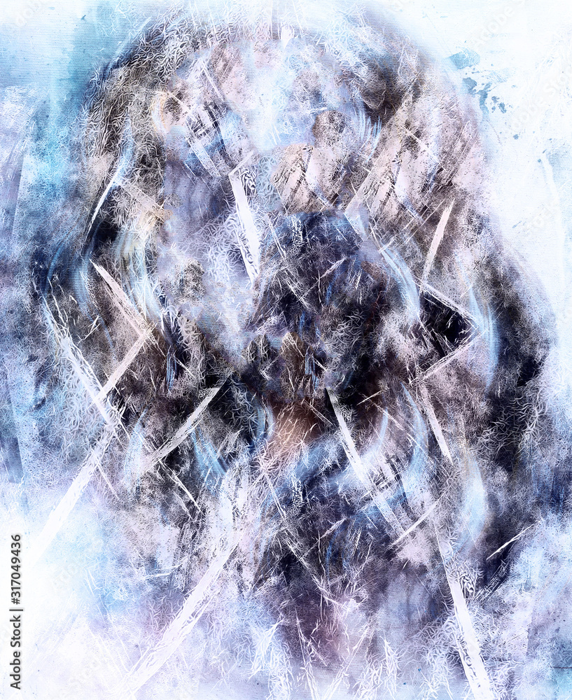 Poster beautiful snow queen with snow flakes and ornamental frost pattern