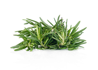 Rosemary isolated on white background