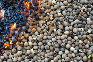 Nuts dried shells burning on the beach.