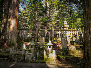 Aged tombs in the Okunoin cemetery on mountain Koyasan in Wakayama prefecture in Japan, a Unesco world heritage site